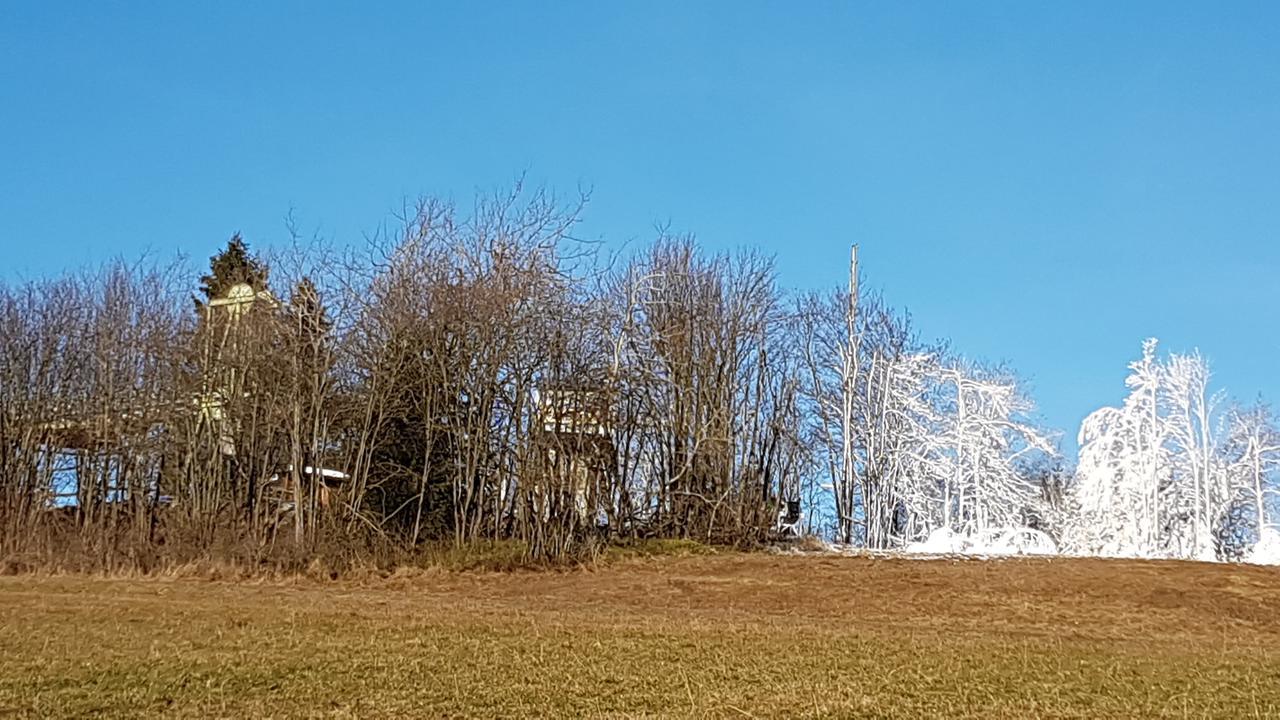 Haus Nicole Leilighet Winterberg Eksteriør bilde